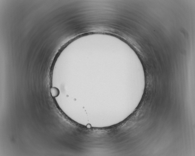 X0000111890848200908131653