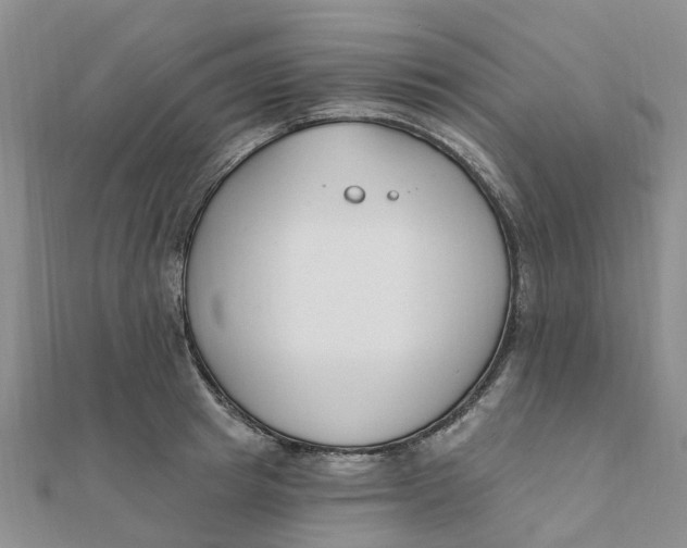 X0000111890849200908131653