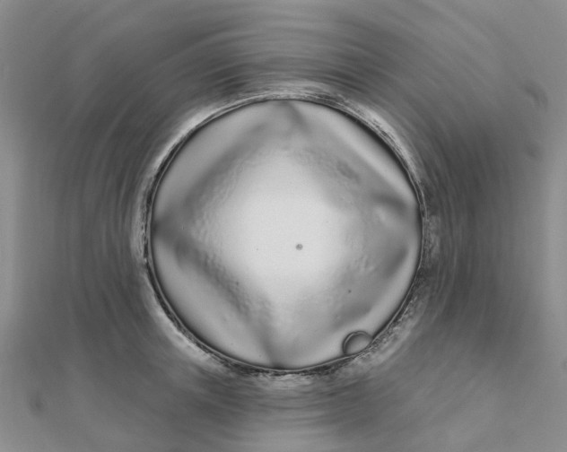 X0000111890851200908131653