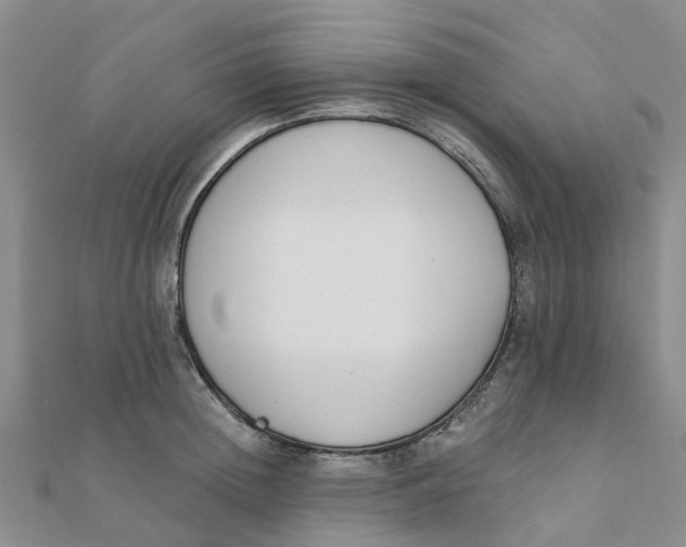 X0000111890852200908131653