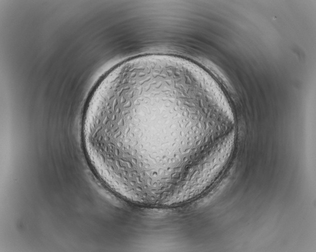 X0000111890854200908131653