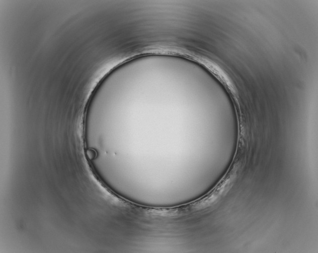 X0000111890855200908131653