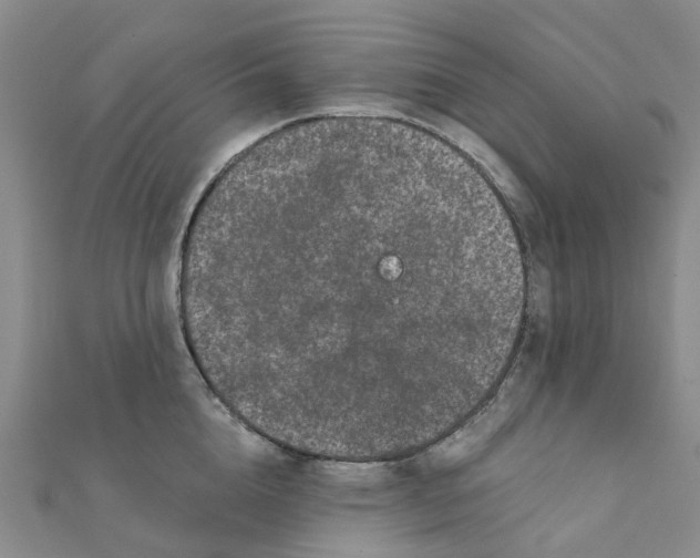 X0000111890856200908131653