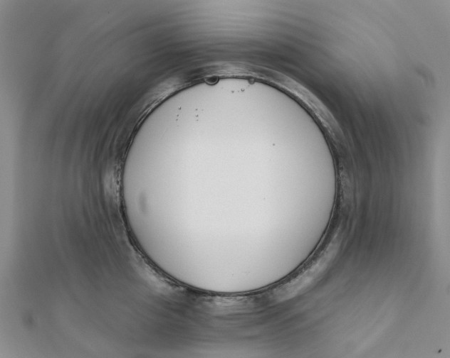 X0000111890857200908131653