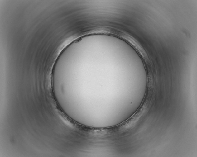 X0000111890858200908131653