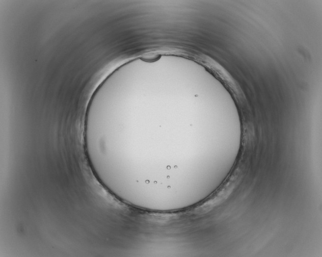 X0000111890860200908131653