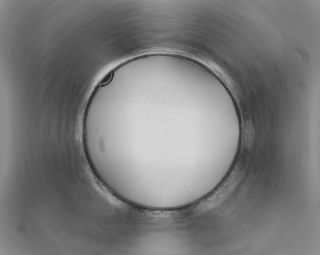 X0000111890862200908131653