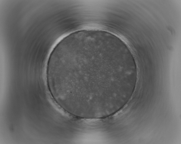 X0000111890864200908131653