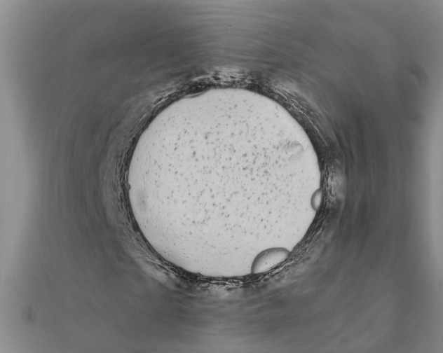 X0000111890865200908131652