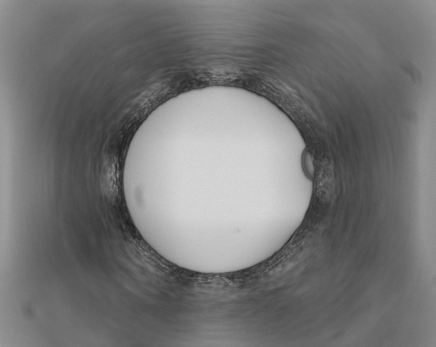 X0000111890866200908131652