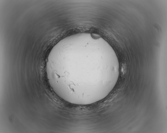 X0000111890867200908131652