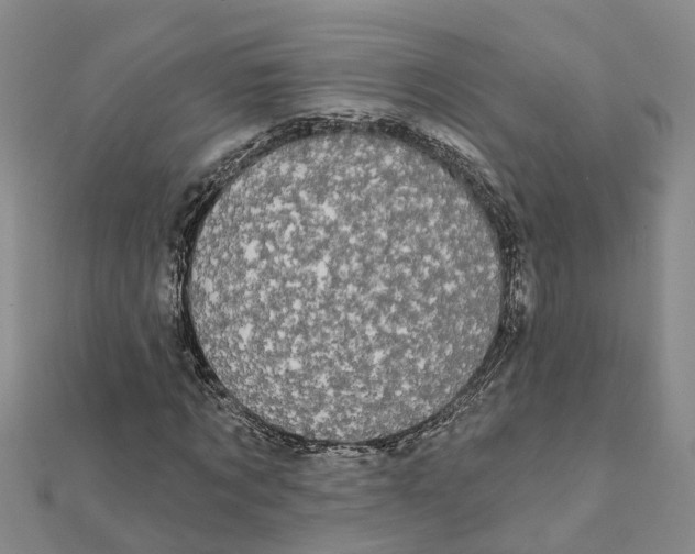 X0000111890869200908131652