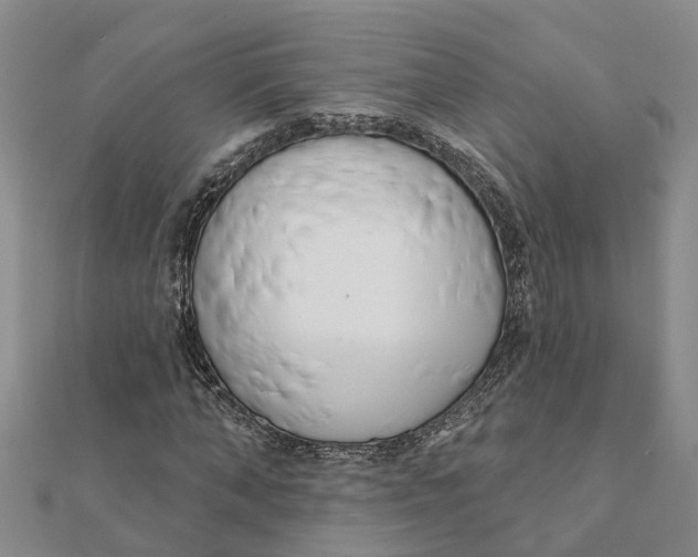 X0000111890870200908131652