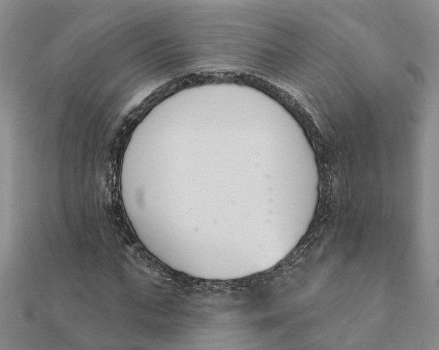 X0000111890871200908131652