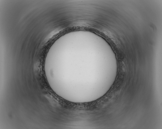 X0000111890872200908131652