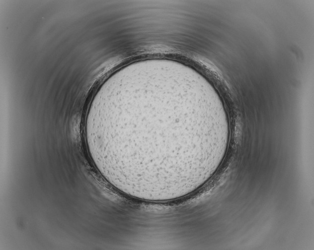 X0000111890873200908131652