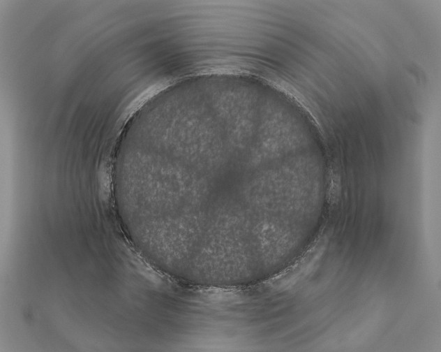 X0000111890874200908131652