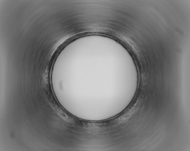 X0000111890875200908131652