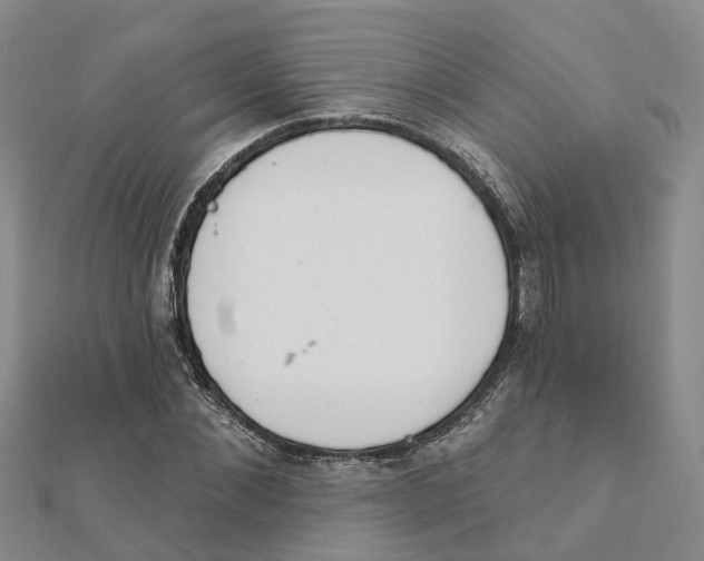 X0000111890876200908131652