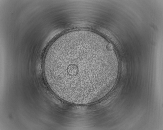 X0000111890878200908131652