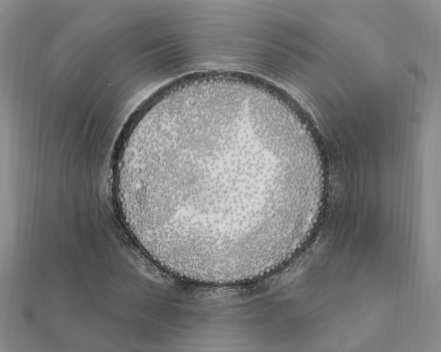 X0000111890879200908131652