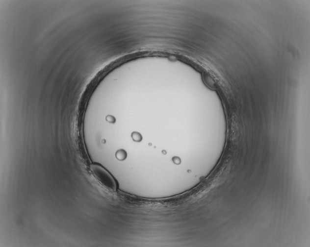 X0000111890880200908131652