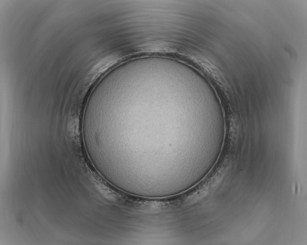 X0000111890881200908131652