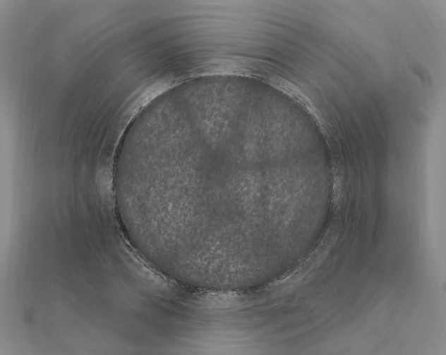 X0000111890882200908131652