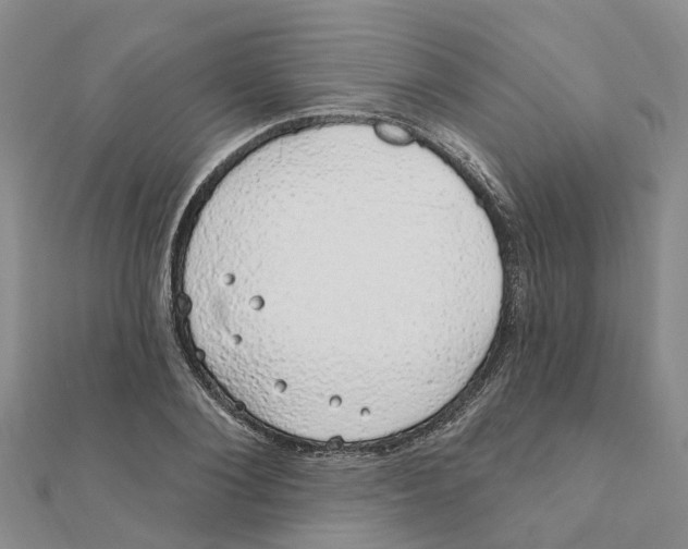 X0000111890884200908131652