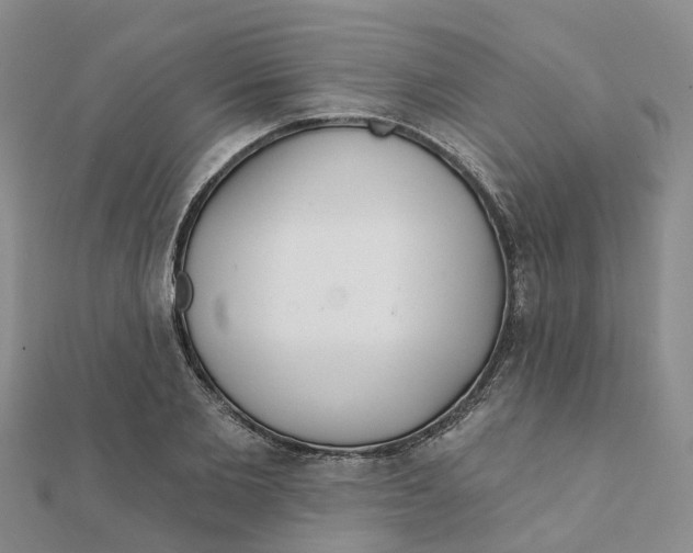 X0000111890885200908131652