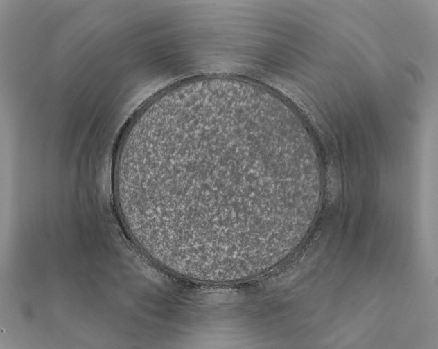 X0000111890886200908131652