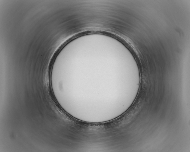 X0000111890887200908131652