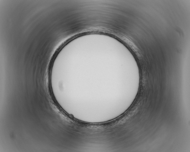 X0000111890888200908131652