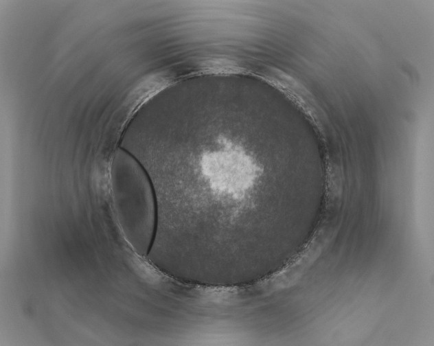 X0000111890889200908131652