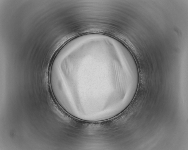 X0000111890890200908131652