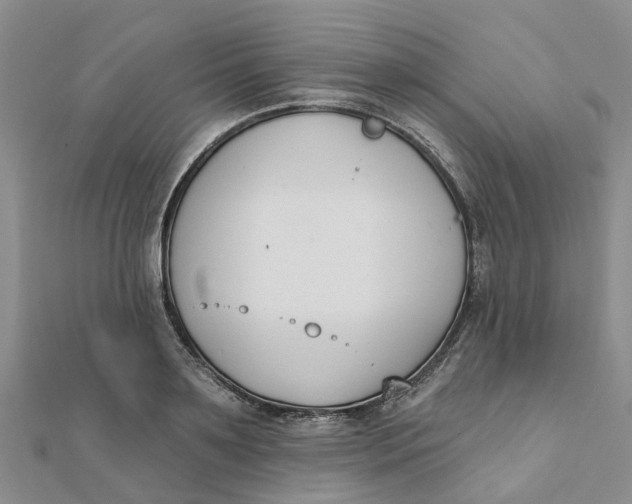 X0000111890891200908131652