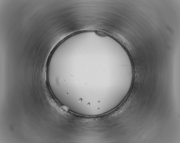 X0000111890892200908131652