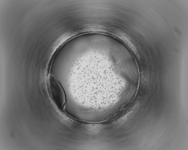 X0000111890893200908131652