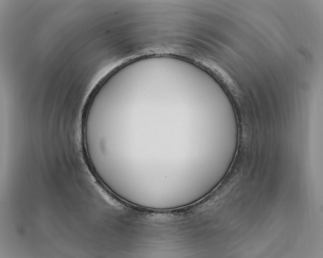 X0000111890894200908131652