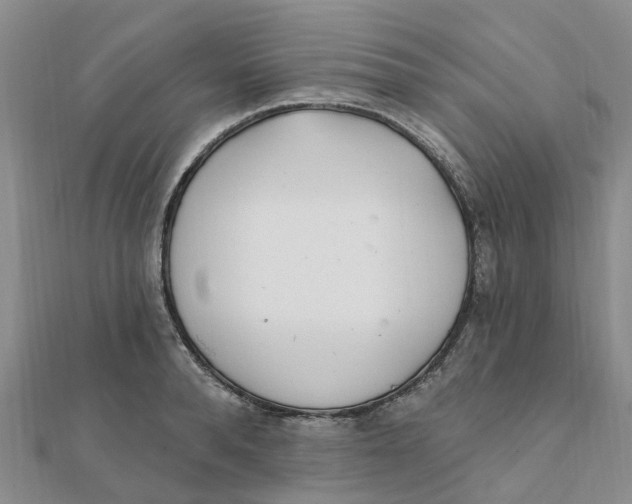 X0000111890896200908131652