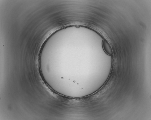 X0000111890898200908131652