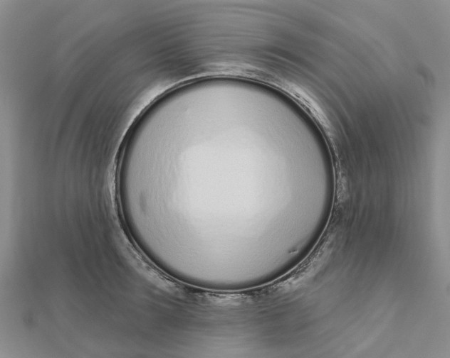 X0000111890899200908131652