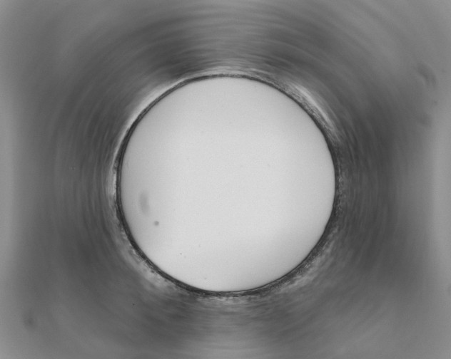 X0000111890900200908131652