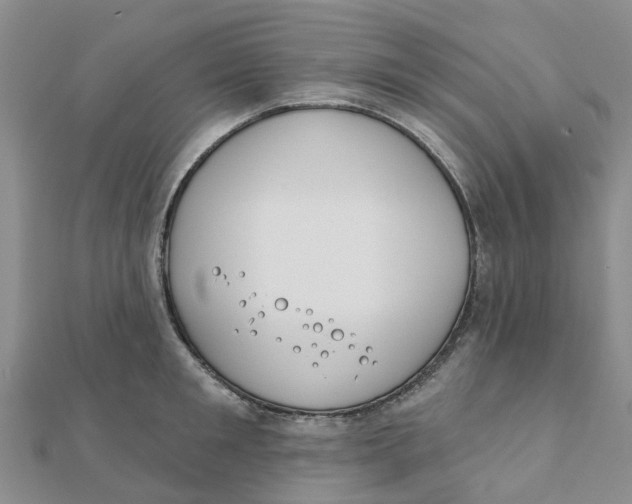 X0000111890901200908131652