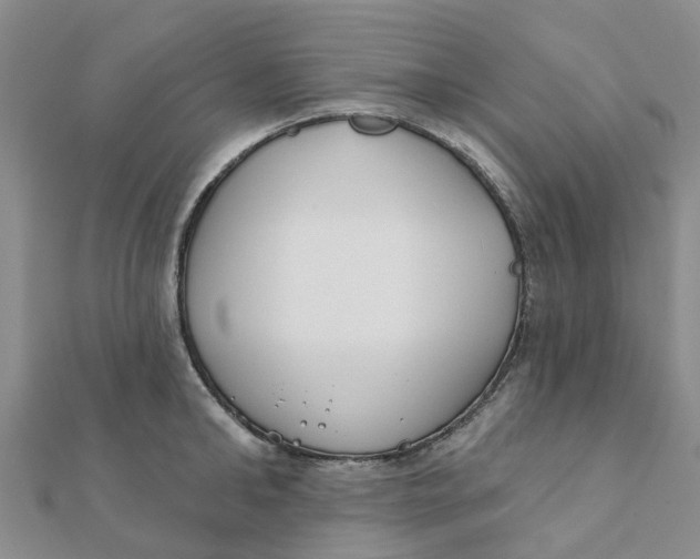 X0000111890902200908131652