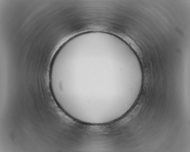 X0000111890904200908131652