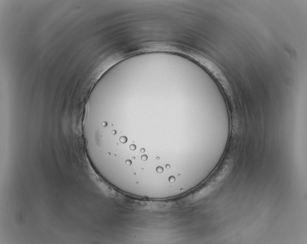 X0000111890905200908131652