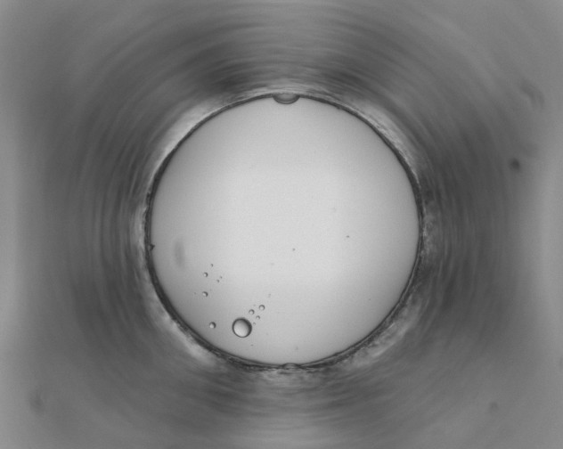 X0000111890906200908131652