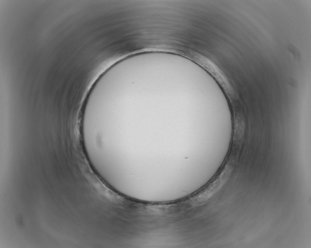 X0000111890908200908131652