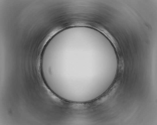 X0000111890909200908131652